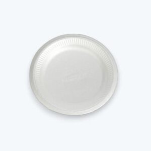 Platos Desechables de Foam