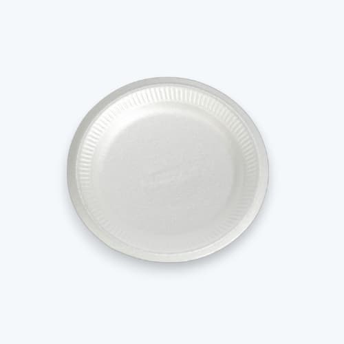 Platos Desechables de Foam